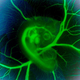Illustration for article titled These Science Photos Are So Beautiful Theyre Basically Art